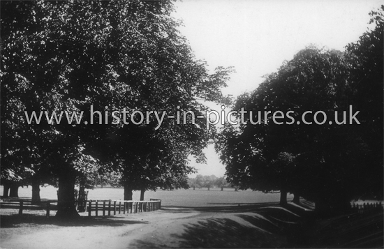 Belhus Park, Aveley, Essex. c.1916